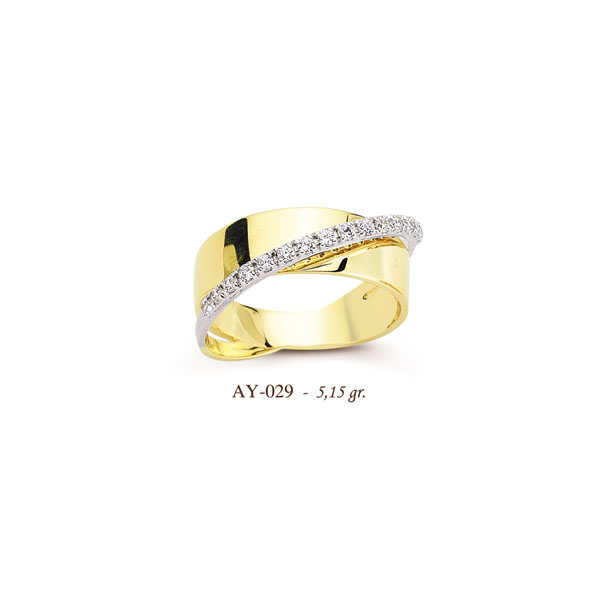 AY029