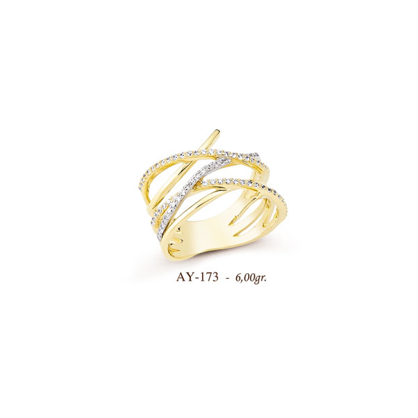 AY173