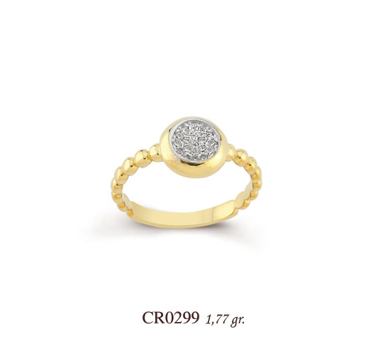 CR0299