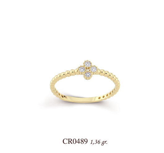 CR0489