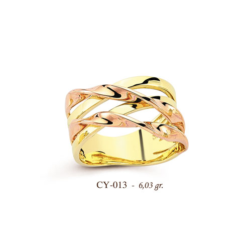 CY013