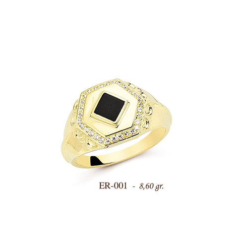 ER001