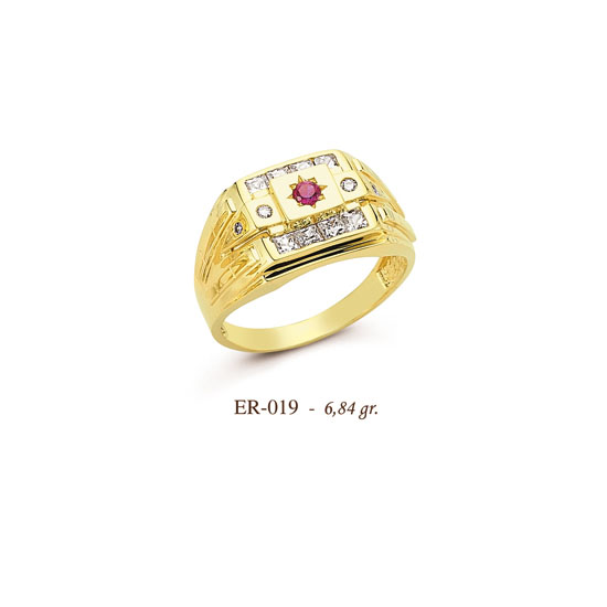 ER019
