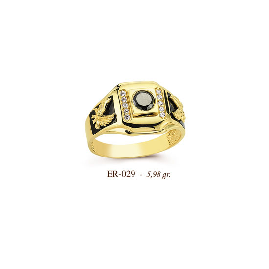 ER029