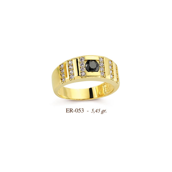 ER053