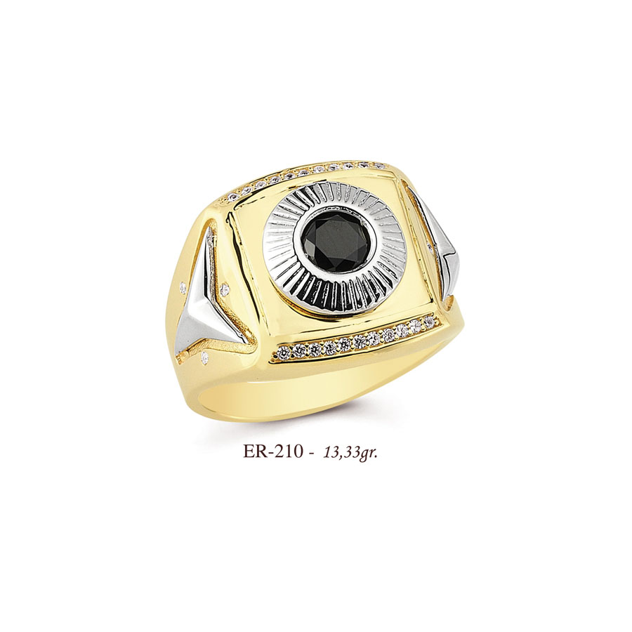 ER210