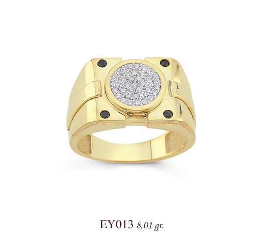 EY013