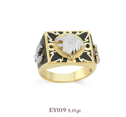 EY019