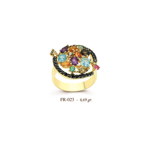 FR023
