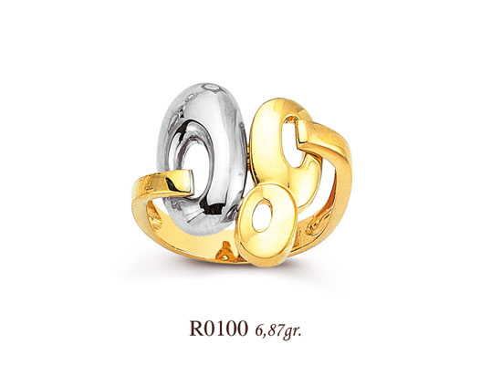 R0100