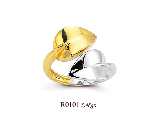 R0101