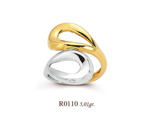 R0110