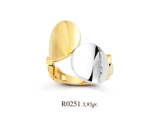 R0251