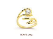 R0056