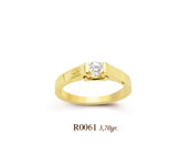 R0061