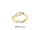 R0093