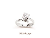 R0195
