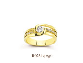 R0231