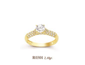 R0301