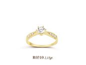 R0310