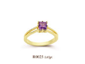 R0025