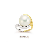 R0102