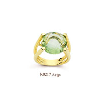 R0217