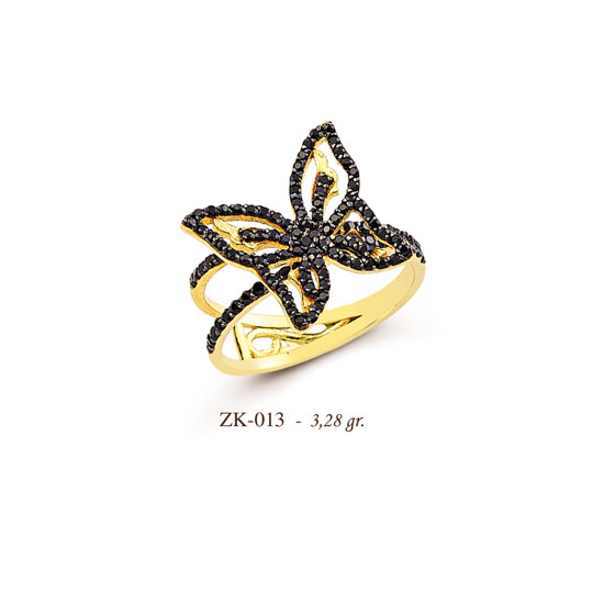 ZK013